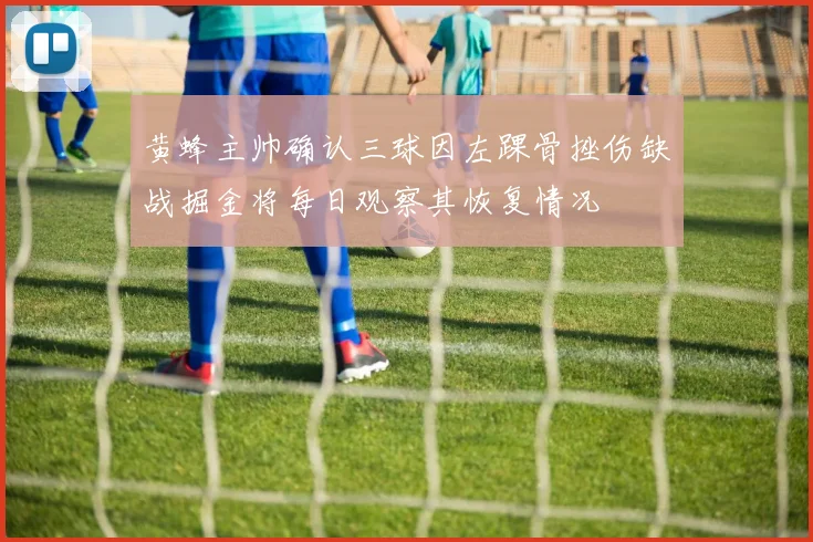 黄蜂主帅确认三球因左踝骨挫伤缺战掘金将每日观察其恢复情况